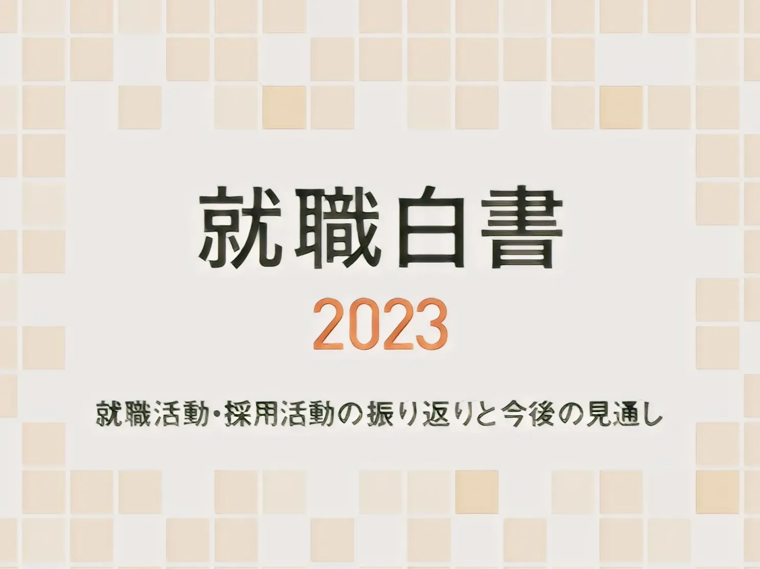 今後の活動見通し